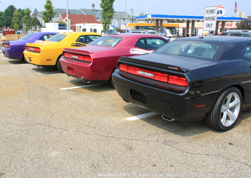 IMG_2254.jpg