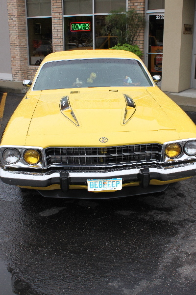 IMG_3032.jpg