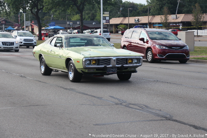 IMG_4112.jpg