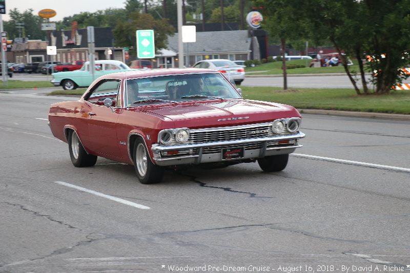 IMG_5886.jpg