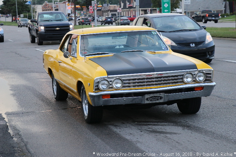 IMG_5900.jpg