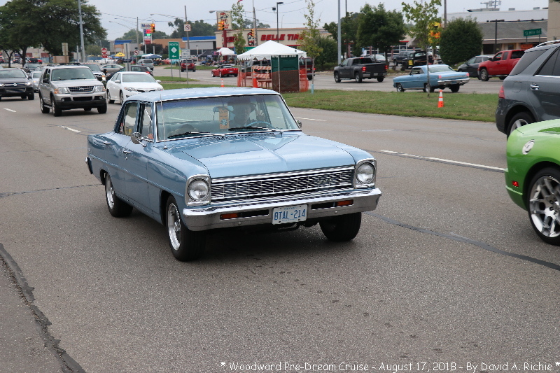 IMG_6186.jpg