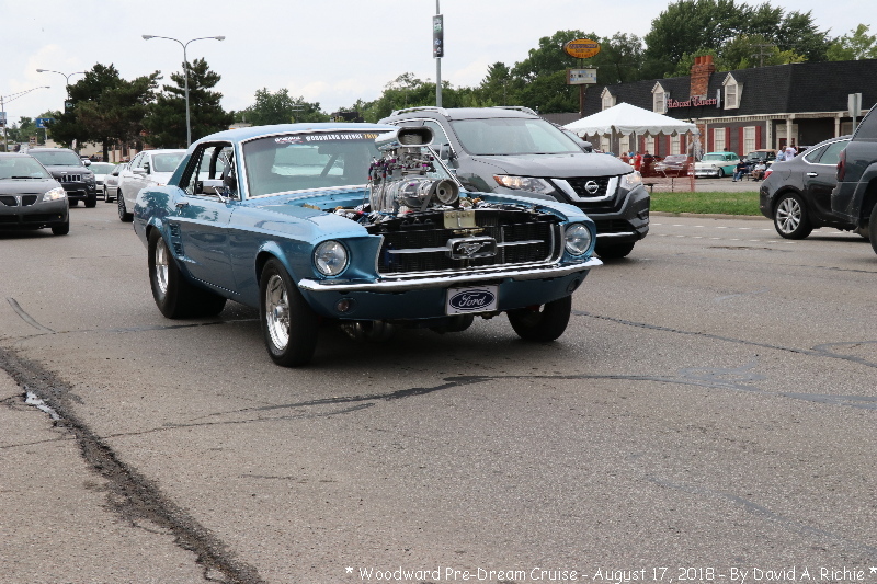 IMG_6439.jpg
