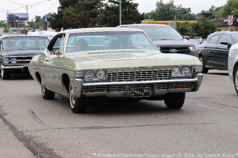 IMG_6441.jpg