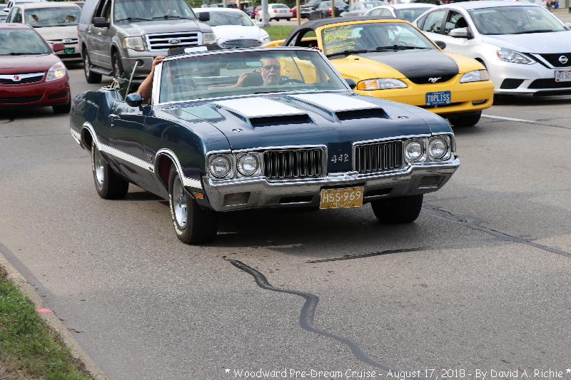 IMG_6532.jpg