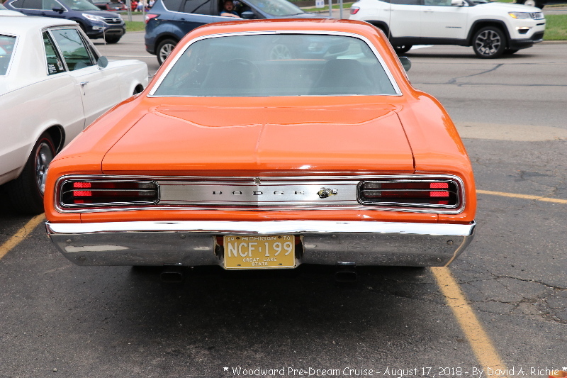 IMG_6780.jpg