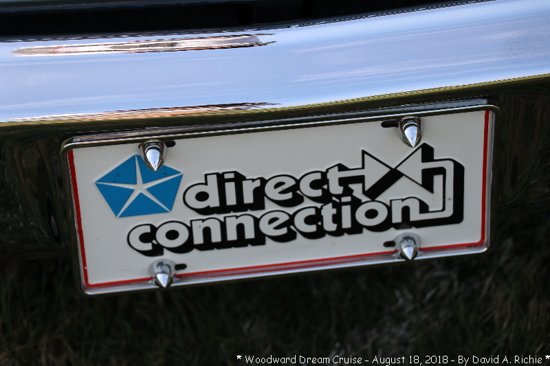 IMG_6934.jpg