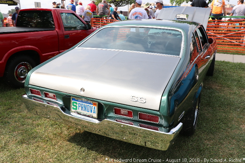IMG_7238.jpg