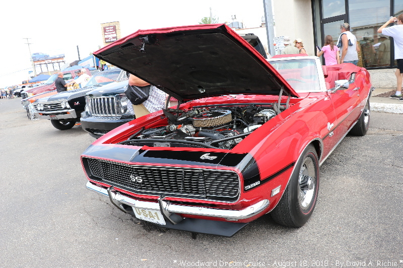 IMG_7463.jpg