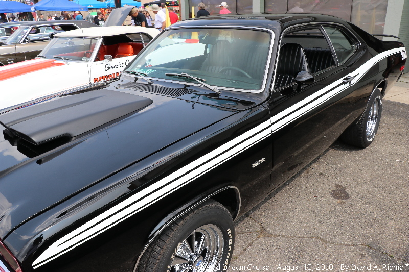 IMG_7522-Nick's.jpg