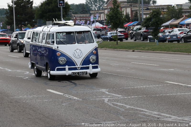 IMG_7565.jpg