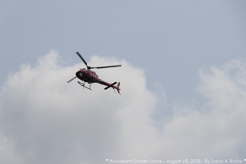 IMG_7740.jpg