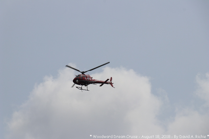 IMG_7741.jpg