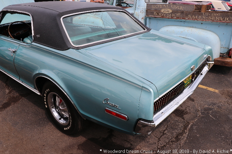 IMG_7993.jpg