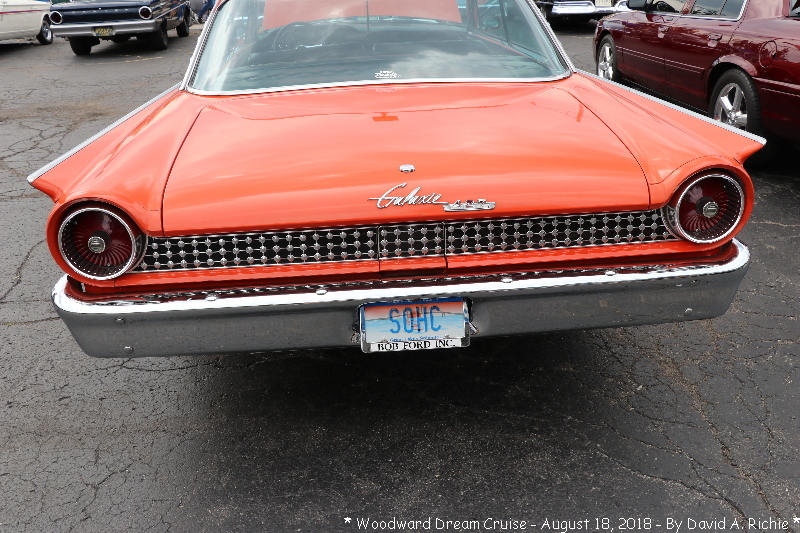 IMG_8020.jpg