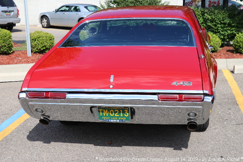 IMG_3173.jpg