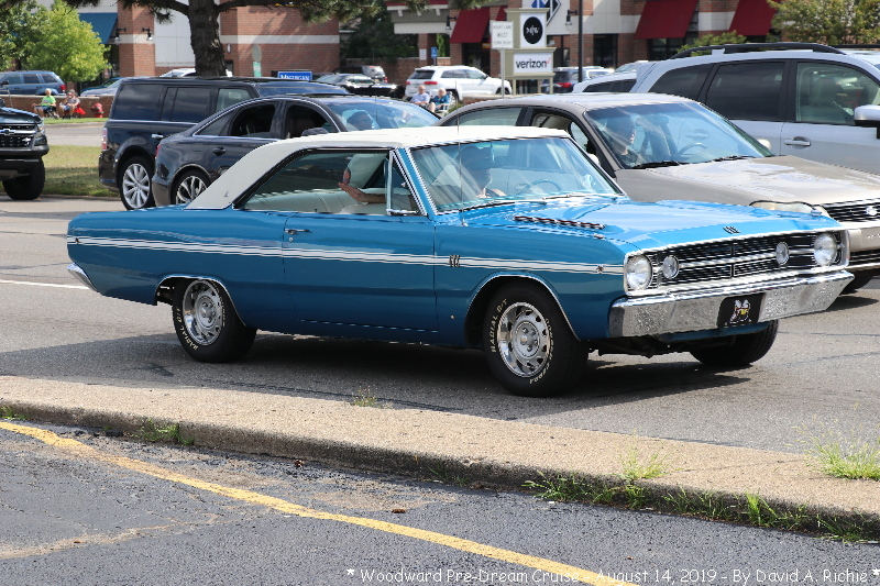 IMG_3237.jpg