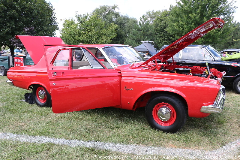 IMG_3773.jpg