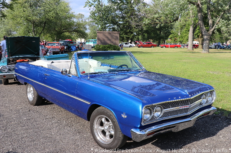 IMG_4425.jpg
