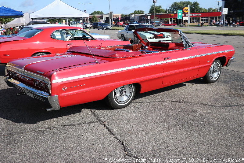 IMG_4813.jpg