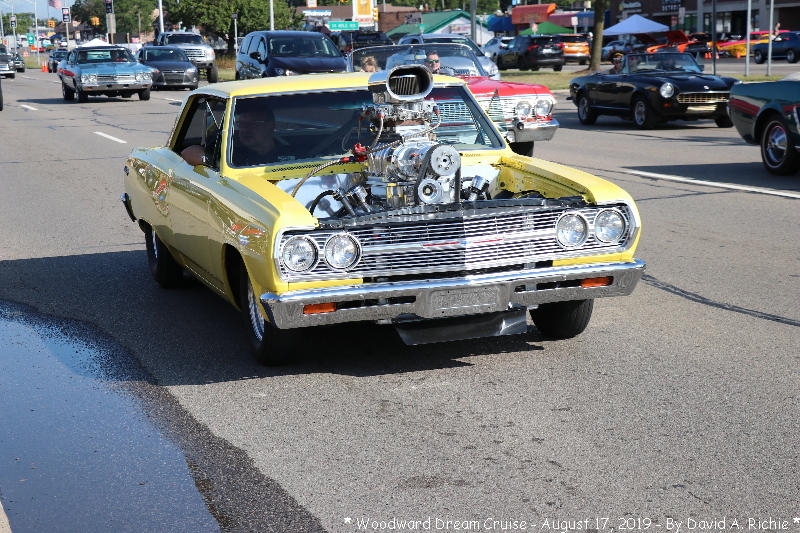 IMG_4828.jpg