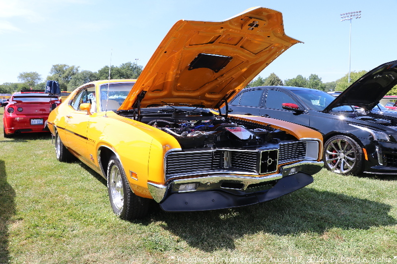 IMG_5652.jpg