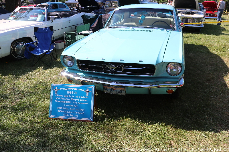 IMG_5832.jpg